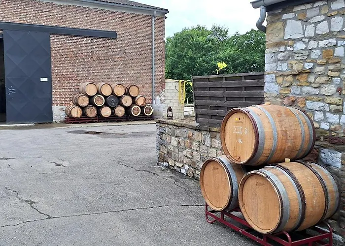 Sur Les Pres Οργανωμένο κάμπινγκ Ohey